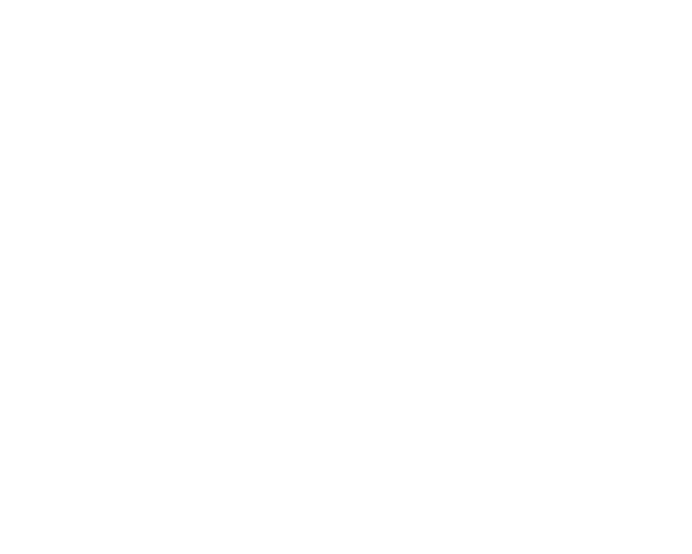 Distillerie VDN