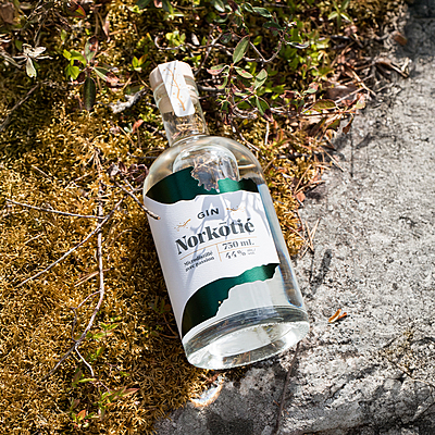 Norkōtié (gin) Norkōtié (gin)